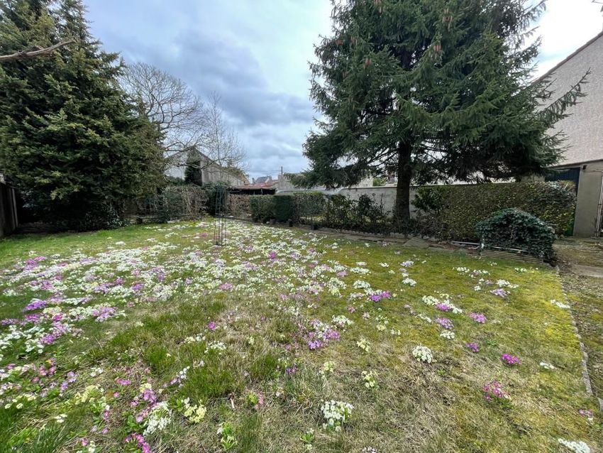 Image de terrain à Ozoir-la-Ferrière
