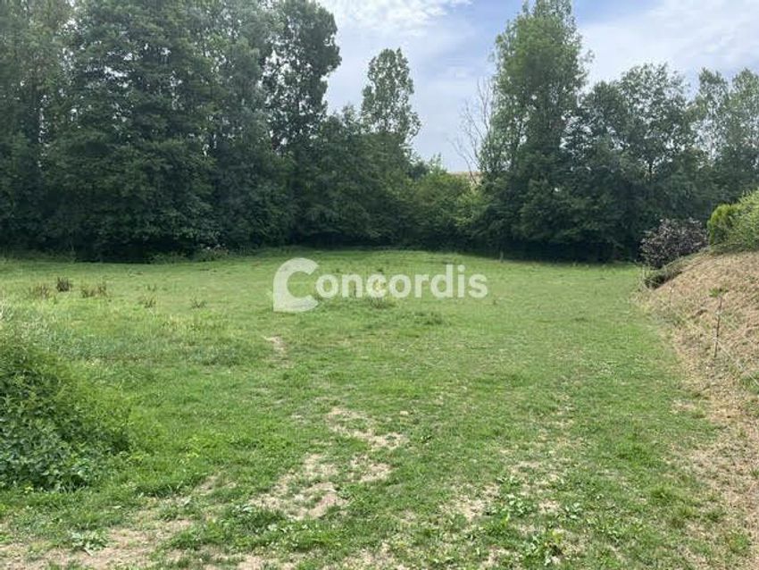 Image de terrain à Ville-sur-Cousances