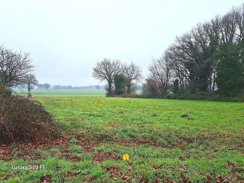 Image de terrain à Louvigné-de-Bais