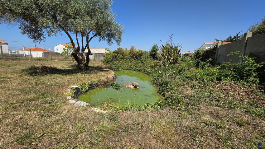 Image de terrain à Saint-Georges-de-Didonne