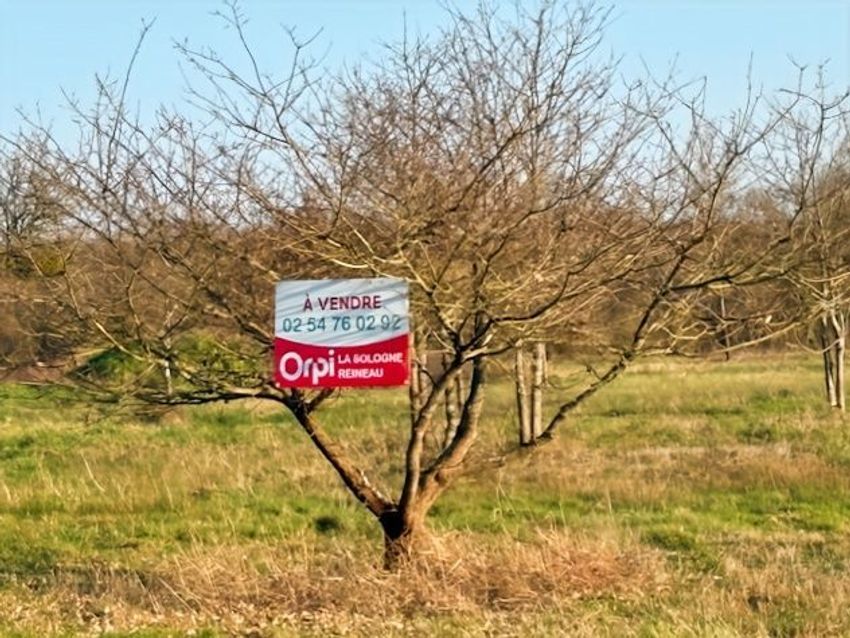 Image de terrain à Châtres-sur-Cher