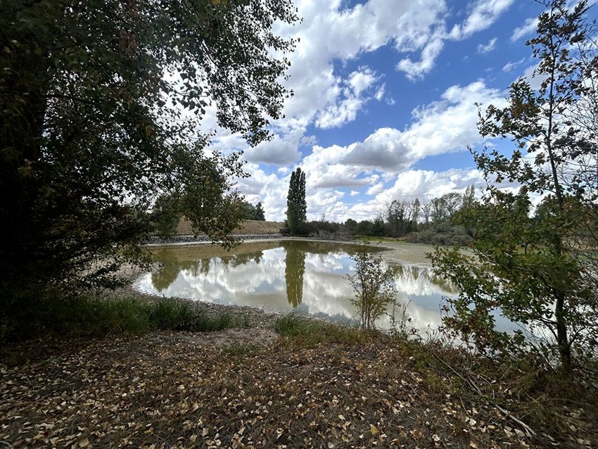 Image de terrain à Jouet-sur-l'Aubois
