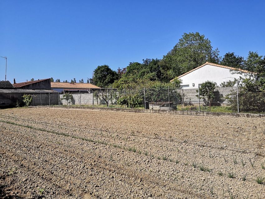 Image de terrain à La Plaine-sur-Mer