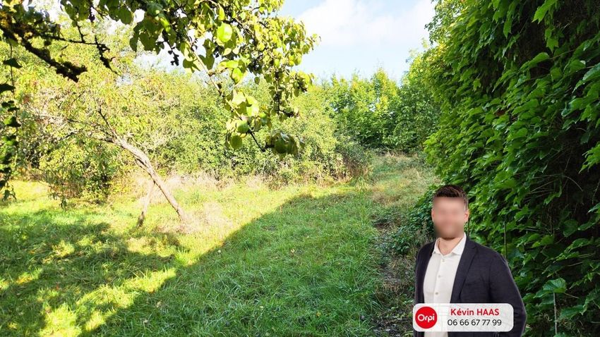 Image de terrain à Luttange