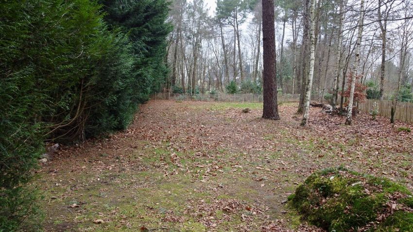 Image de terrain à Plélan-le-Petit