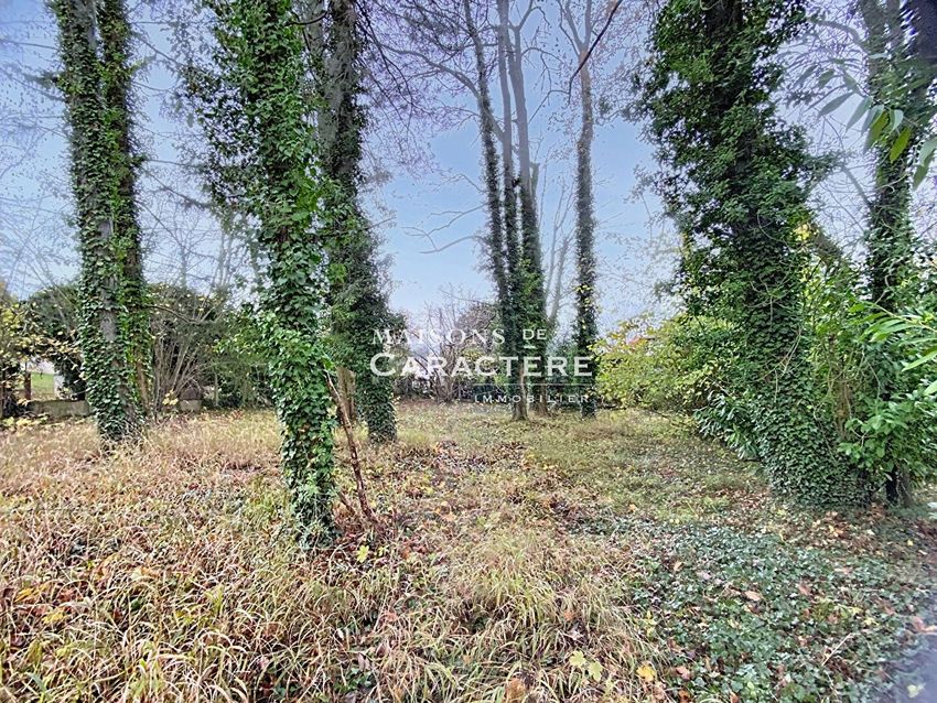 Image de terrain à Maule