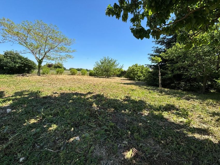 Image de terrain à Fors