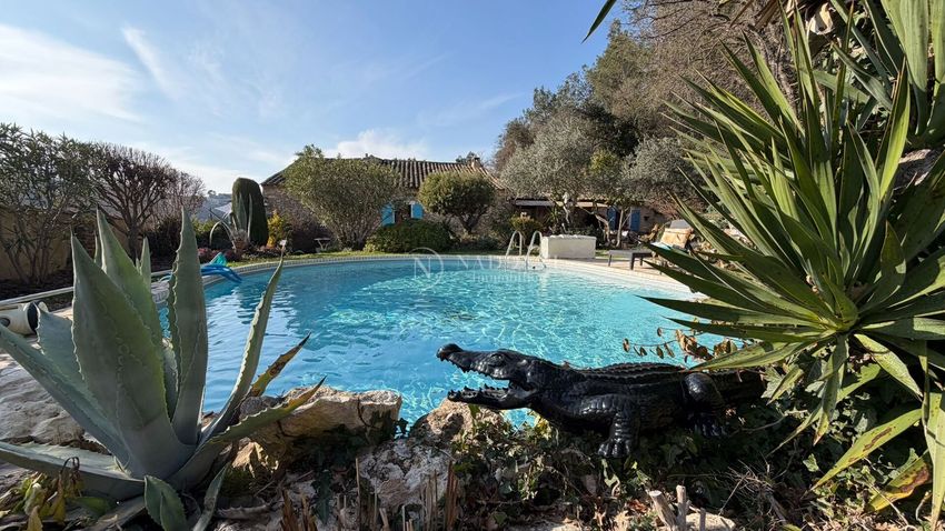 Image Piscine à  maison mitoyenne de Ménerbes