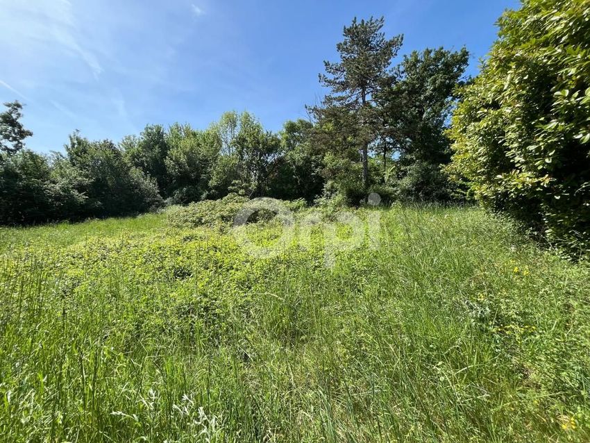 Image de terrain à Chasteaux