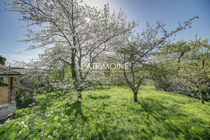 Image de terrain à Orgeval