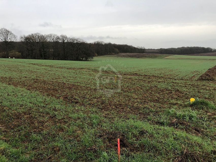 Image de terrain à Éméville