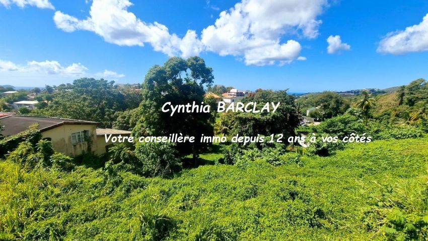 Image de terrain à Fort-de-France