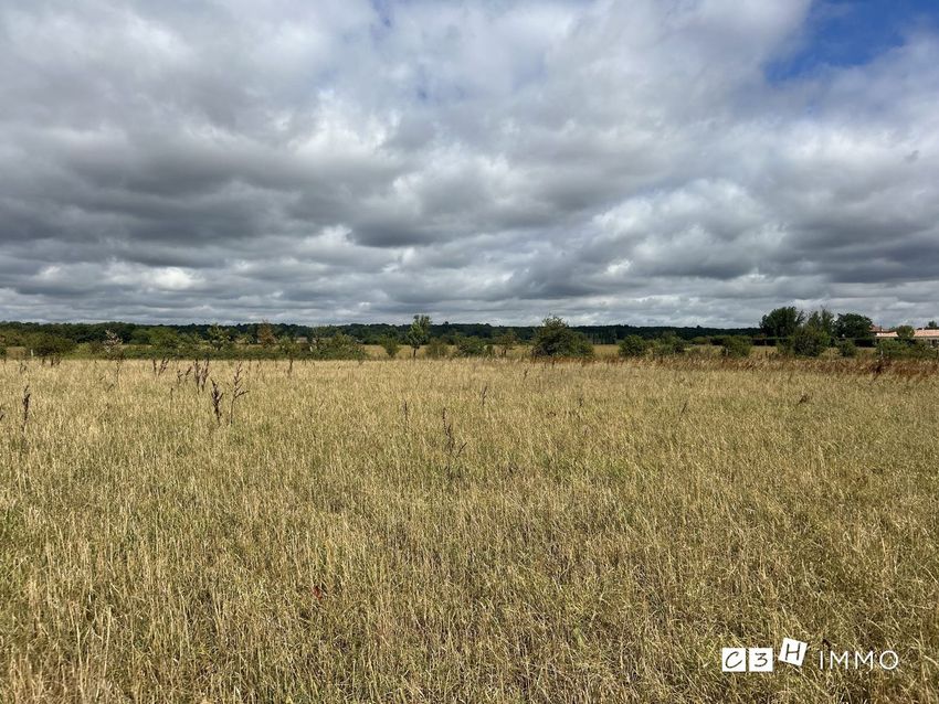 Image Vue à terrain de Longages