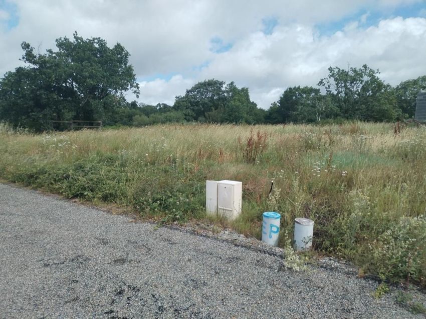 Image de terrain à La Haie-Fouassière