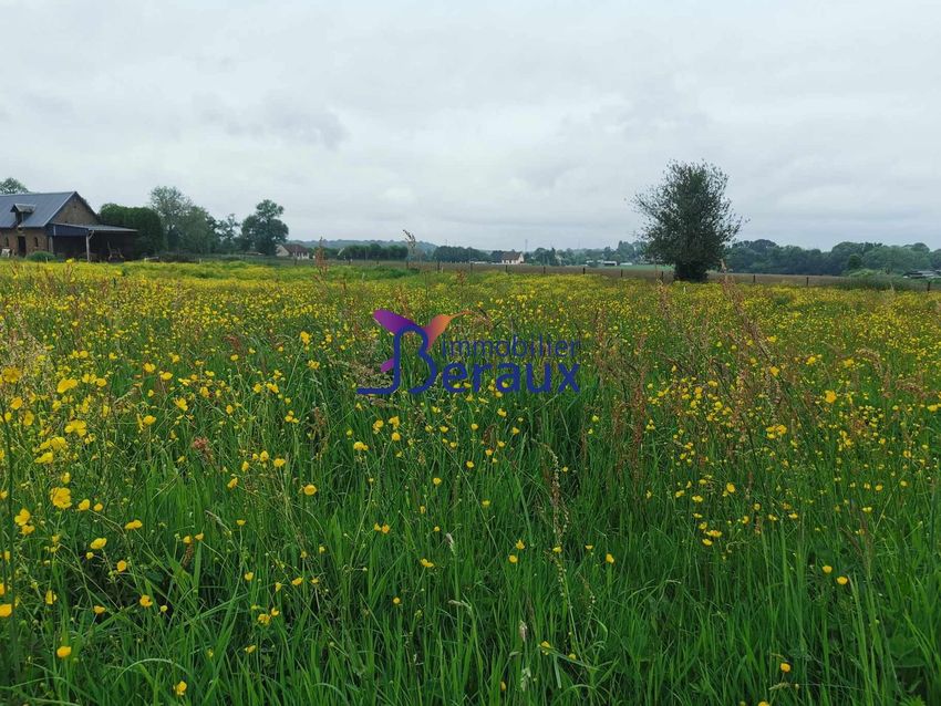 Image de terrain à Épinay-sur-Duclair