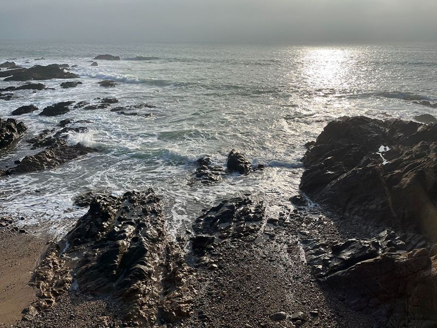 Image Vue à terrain de Noirmoutier-en-l'Île