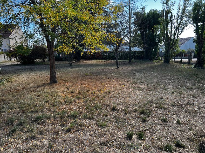Image de terrain à Châteauneuf-sur-Loire