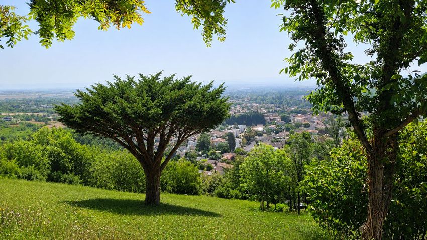 Image de terrain à Blanzat