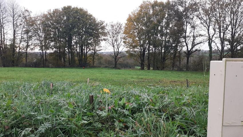 Image de terrain à La Couyère