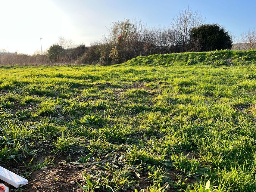 Image de terrain à Falaise