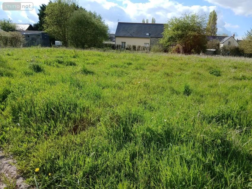 Image de terrain à Loire-Authion