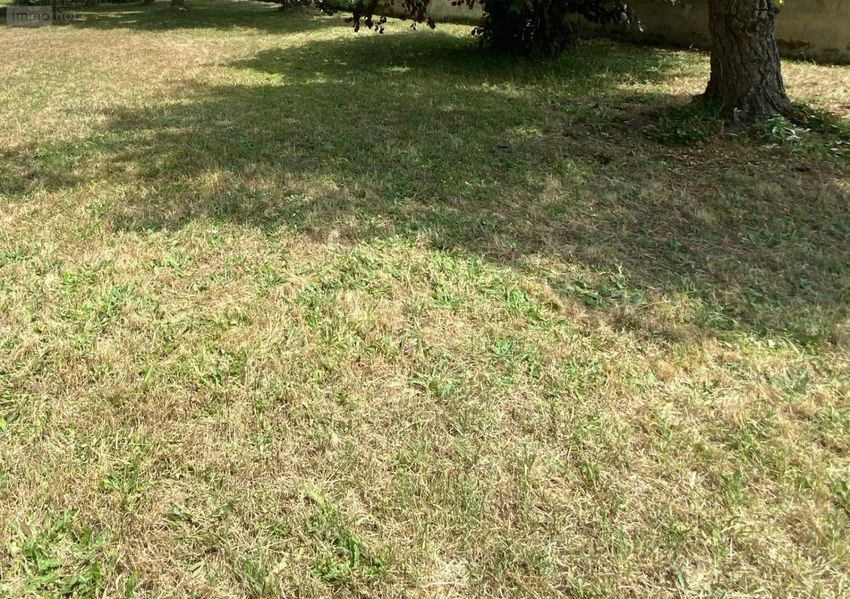 Image de terrain à Bruges