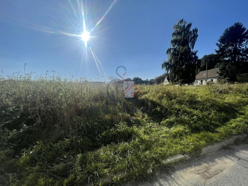 Image de terrain à Mary-sur-Marne