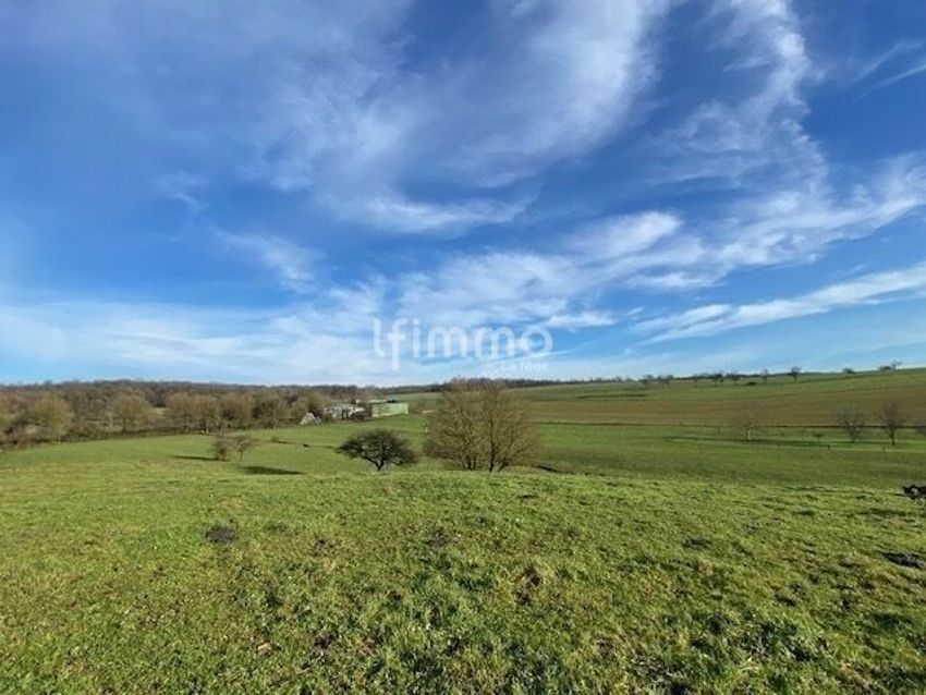 Image Vue à terrain de Wœlfling-lès-Sarreguemines