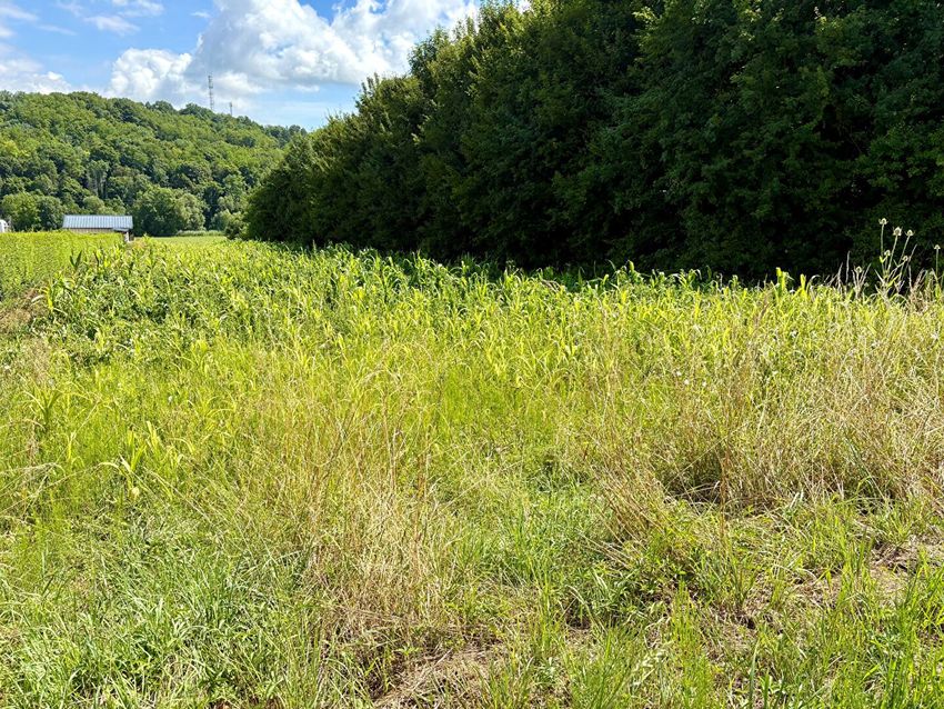 Image de terrain à Mattaincourt