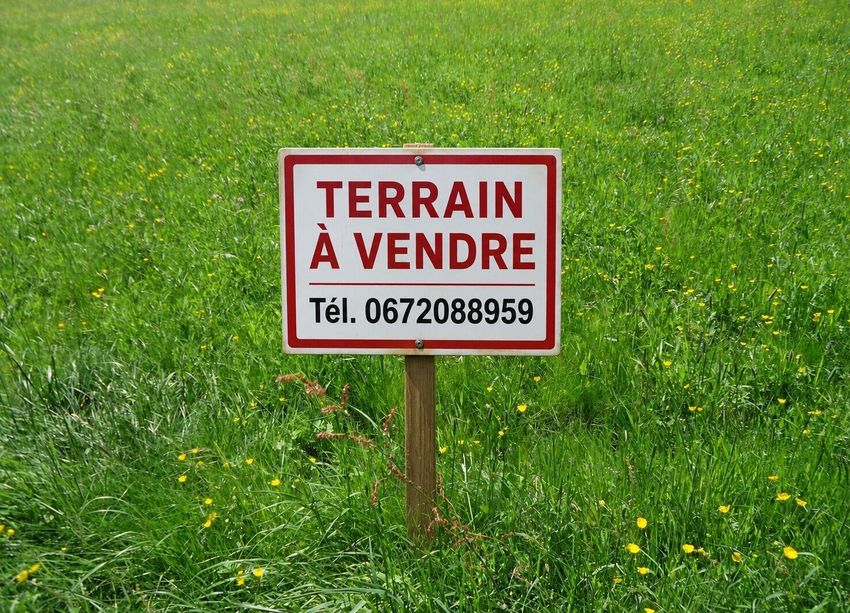 Image de terrain à Wittenheim