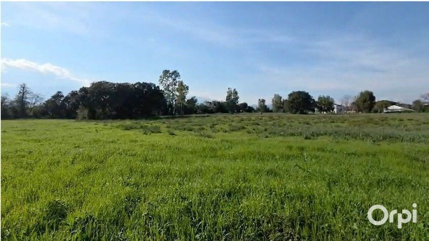 Image de terrain à Prunelli-di-Fiumorbo