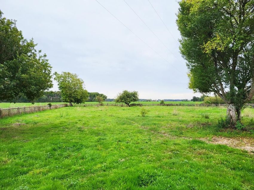Image de terrain à Villeneuve-les-Genêts