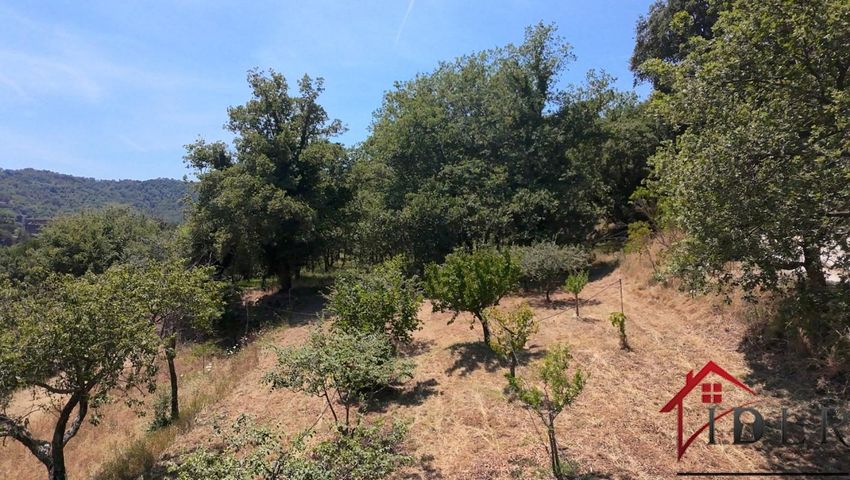 Image de terrain à Collobrières