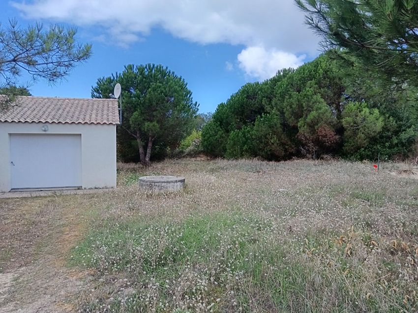 Image de terrain à Saint-Hilaire-de-Riez