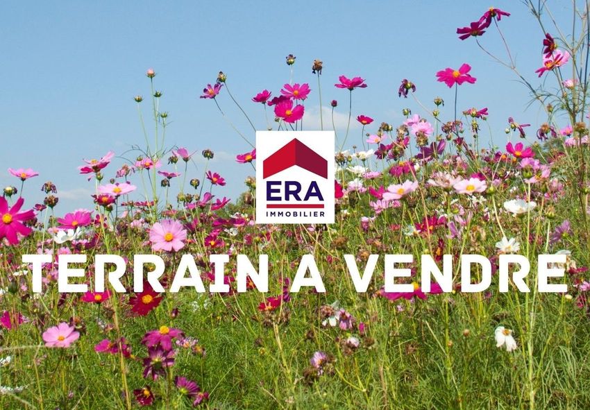 Image de terrain à Mios