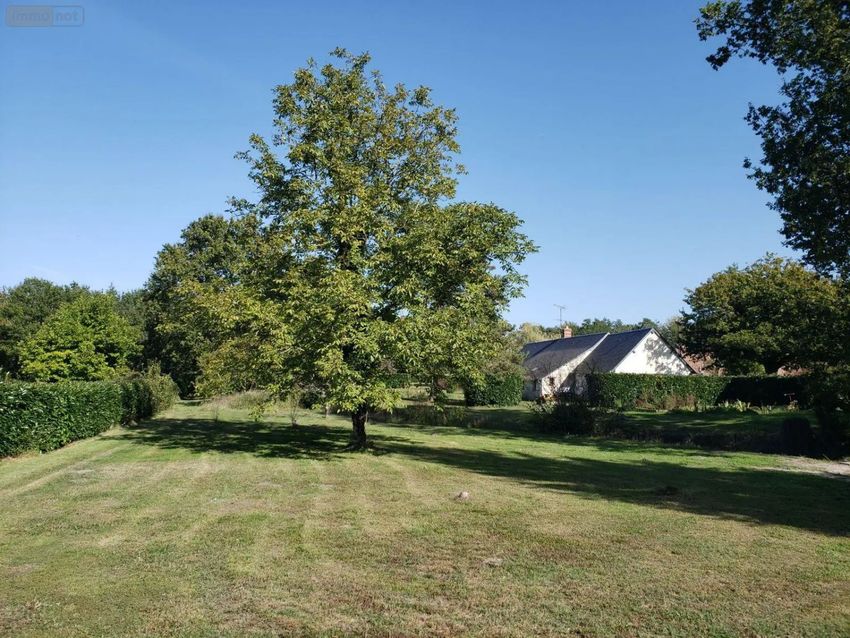 Image de terrain à Pruniers-en-Sologne