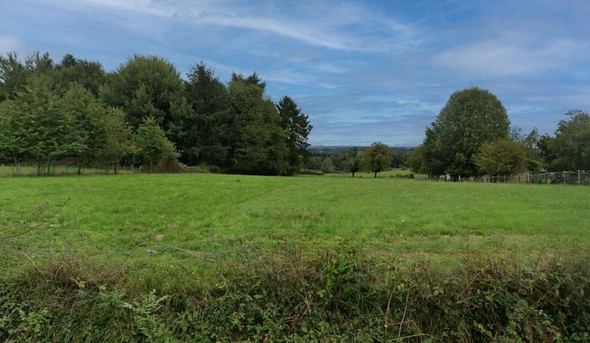 Image de terrain à Saint-Priest-les-Fougères