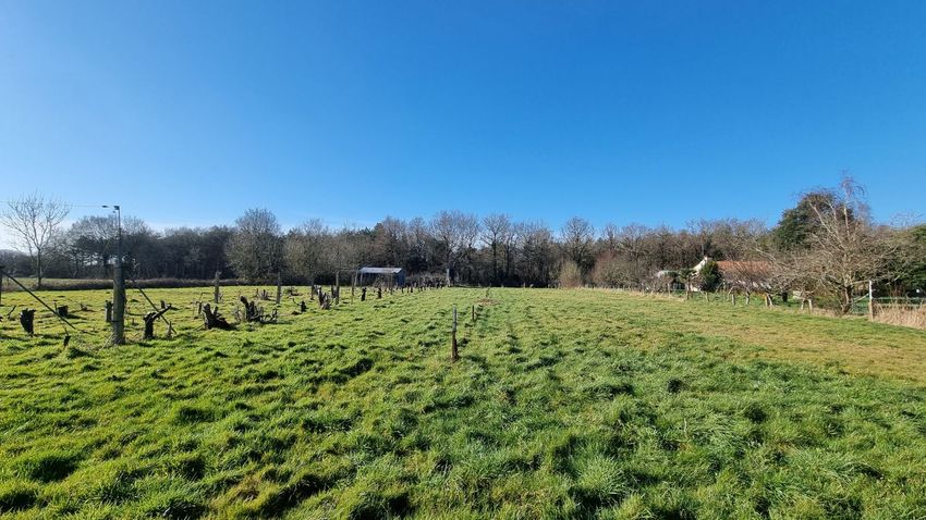 Image de terrain à Talmont-Saint-Hilaire