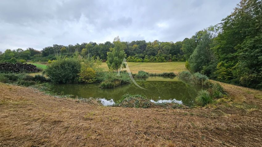 Image de terrain à Nampteuil-sous-Muret