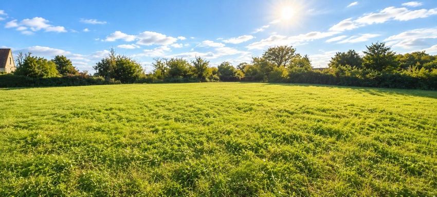 Image de terrain à Jussy-le-Chaudrier