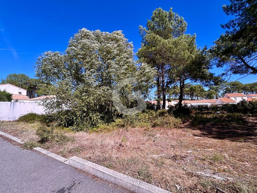 Image de terrain à La Tranche-sur-Mer