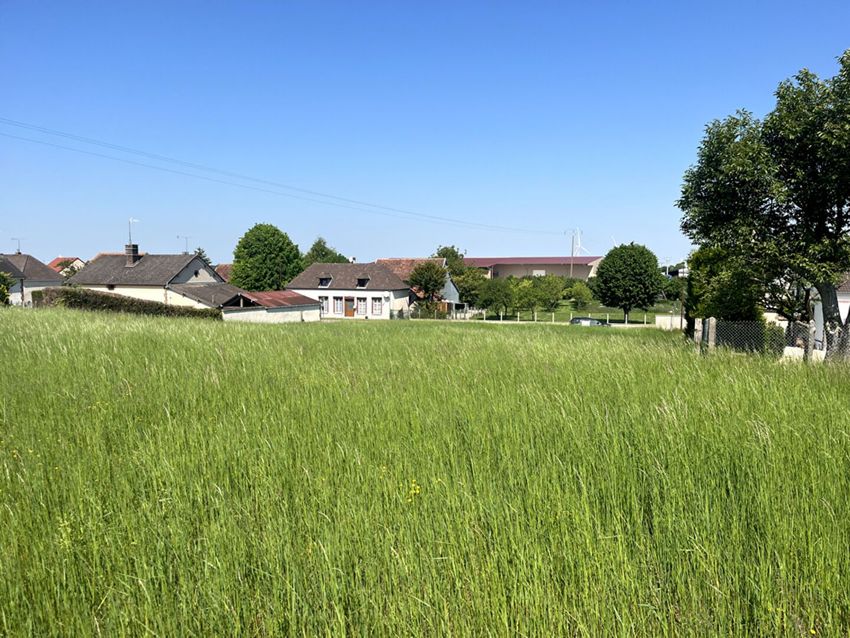 Image de terrain à Les Grandes-Chapelles