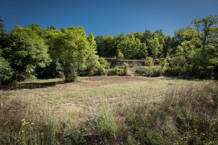 Image de terrain à Couze-et-Saint-Front