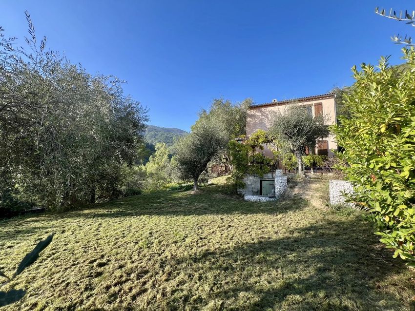Image Jardin à  maison individuelle de Sans numéro Impasse des Oliviers