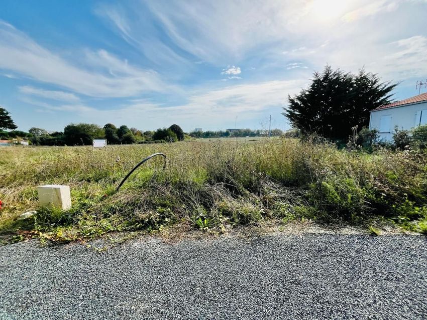 Image de terrain à Royan