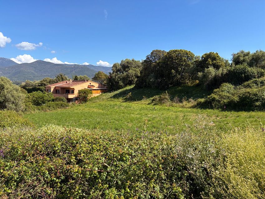Image Vue à terrain de Bastelicaccia