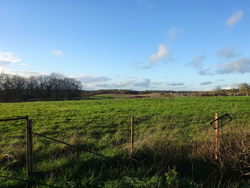 Image de terrain à Serralongue