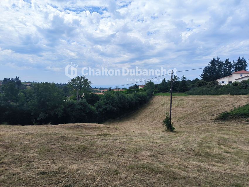 Image de terrain à Bussières