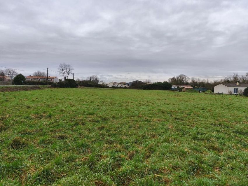 Image de terrain à La Ronde
