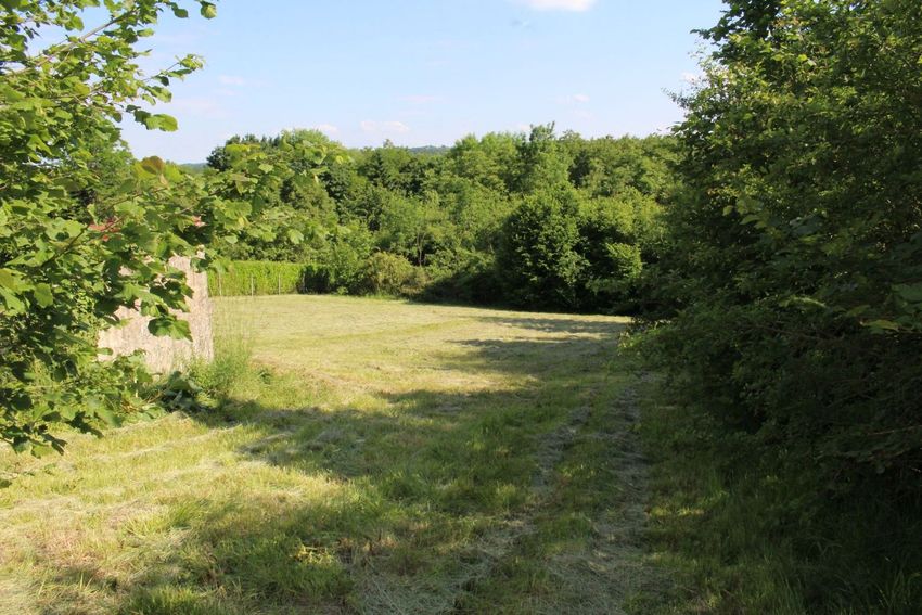 Image de terrain à Berny-Rivière